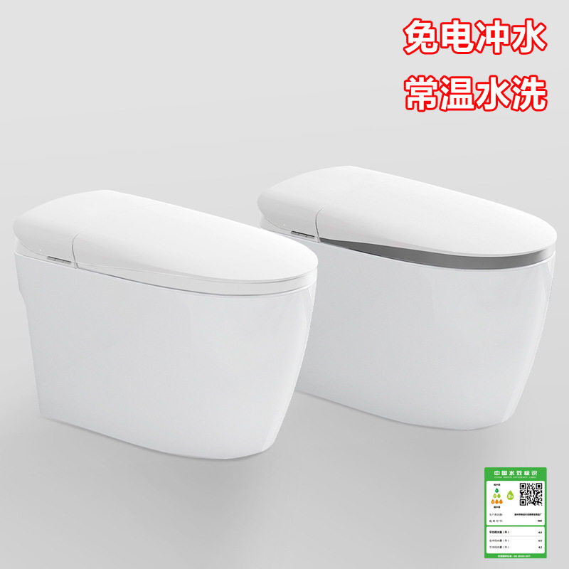 跨境货源 免电冲水无水压限制常温妇洗臀部清洗大口径 家用坐便器