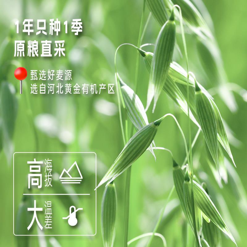 金溶味有机纯燕麦片10煮50g礼盒IKQ装代餐营养早餐速即免食麦片