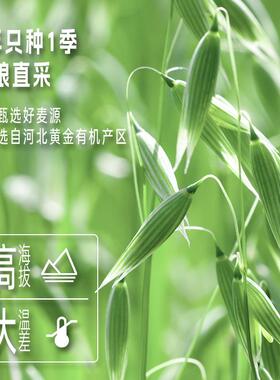 金溶味有机纯燕麦片10煮50g礼盒IKQ装代餐营养早餐速即免食麦片