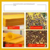 中型蜂窝基地蜂窝基RCB地架蜡巢框蜂窝基地芯片巢脾脏0蜂箱养蜂工