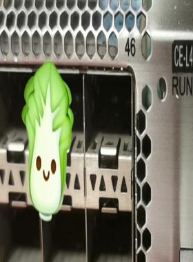 HuaWei CE-L48GS-EC 华为CE12800系列