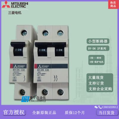 小型断路器BH-D6 2P C/D型 20A/25A/32A/40A/50A/63A