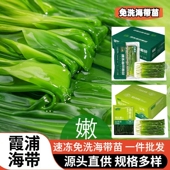 霞浦海带速冻免洗海带苗凉拌嫩苗袋新鲜脆爽鲜嫩麻辣烫火锅食材