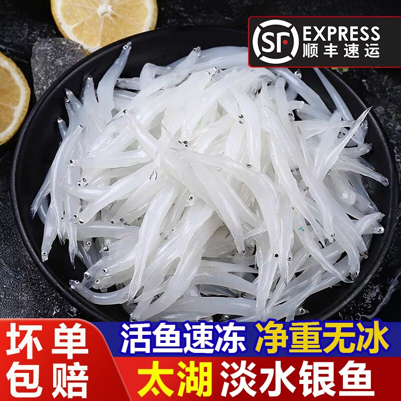 淡水太湖银鱼内嫩刺少