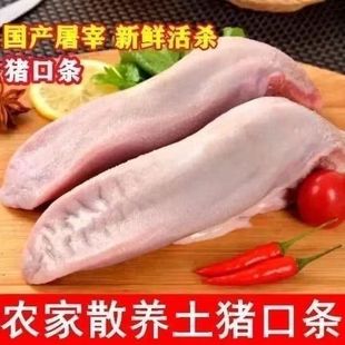 新鲜冷冻猪口条猪舌头舌尖无根口条猪舌头卤菜酒店批发