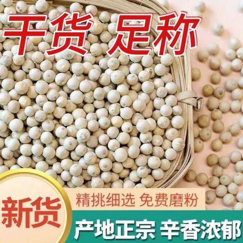 正宗海南精选白胡椒粒批发纯正现磨白胡椒粉颗粒去腥调味料