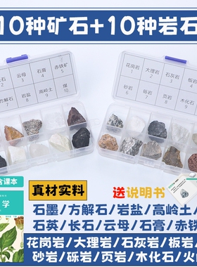 【四年级】矿物岩石标本盒小学科学四年级下册地理石头岩石化石观察学具花岗岩矿物和与云母岩岩石标本教具