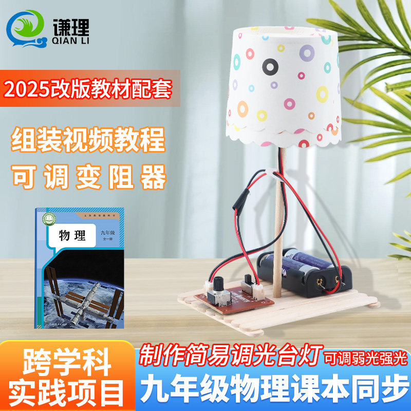 自制可调节亮度台灯九年级初中跨学科实践科学小制作物理电学实验