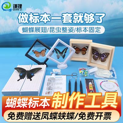 蝴蝶标本制作工具全套diy材料包