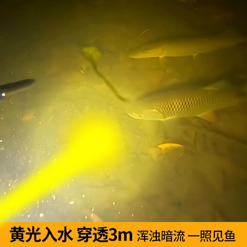 2025新款黄光强光照鱼黄鳝专用头灯爆亮钓鱼强穿透头戴式照明手电
