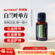 美国多特瑞白兰叶单方精油15ml官网正品 doTERRA安抚情绪促进睡眠