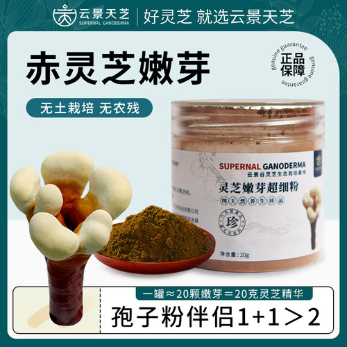 孢子粉伴侣灵芝嫩芽粉调理身体