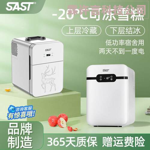 车载迷你小冰箱宿舍出租房小型母乳单人用冷藏箱车家两用
