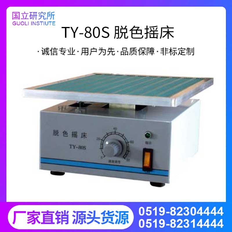 TY-80S胶色摇床电泳凝胶分离考马斯蓝染色用转移旋转摇床上下摇床