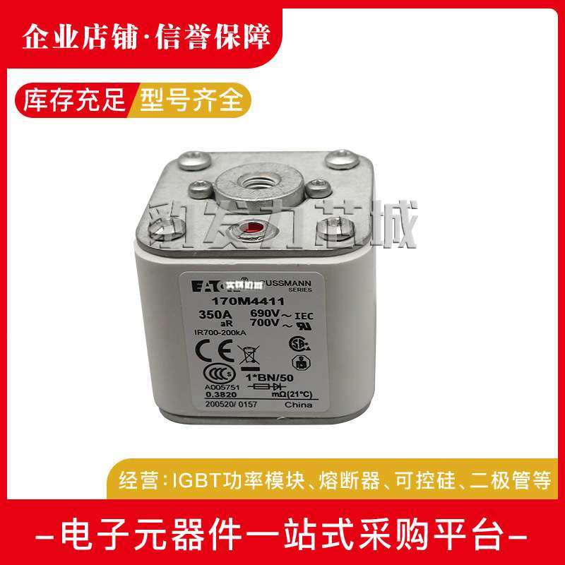 170M4764 170M4765 170M4766 170M4767 170M4768 170M4769熔断器