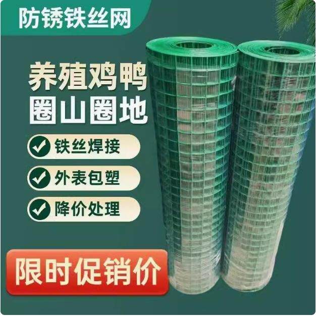 6厘米孔铁丝网绿色浸塑电焊网阳台防护网格鸡鸭鸽兔防逃养殖网