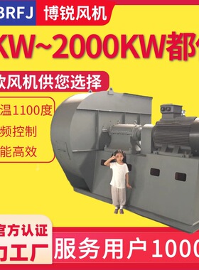 IP556防护等级30/90KW37KW风机55KW15/75KW200KW 2级能效离心风机