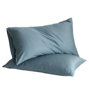 夏季 48x74 60s天丝纯色枕套冰丝光滑凉感单双人夏天枕头套一只装