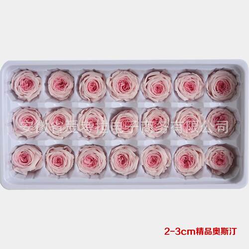 奥斯汀永PYO生花巧克力挂玫瑰级2-3CM钥3-A4CM匙扣车礼盒花材永生