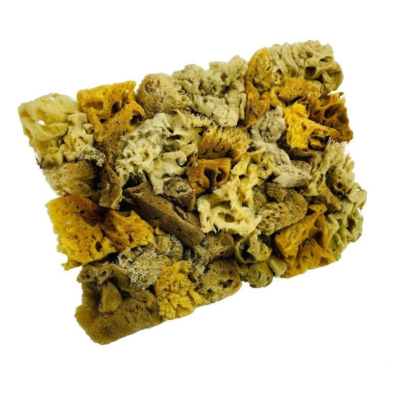 天然海藻绵棉拍艺术料色珠三光印花金点银箔点拍涂艺术漆工具大全