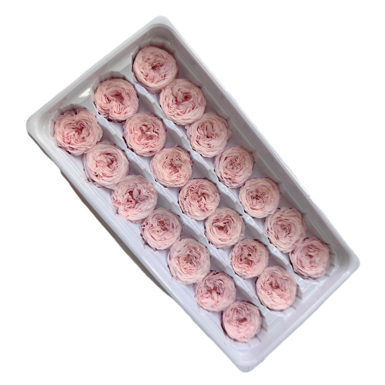 生A级2-3厘米奥斯丁018巧克永南力diy材料花包奥斯丁云厂家,家居饰品,餐桌花艺,淘宝优惠券,粉丝福利购,淘宝优惠卷