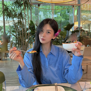 馨菲2026春上新多场合衬衫穿搭挺括自在显白刺绣上衣衬衫Q9061