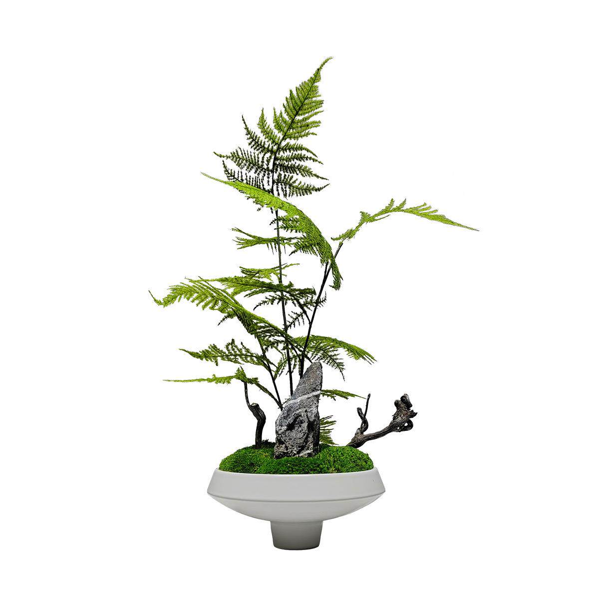 新中式仿真植物文竹盆景摆件假山造景绿植招财装饰品茶室花艺套装