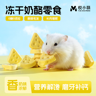 悦小萌仓鼠零食营养长肉冻干奶酪金丝熊花枝鼠专用磨牙棒可食用