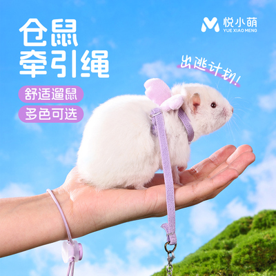 仓鼠牵引绳外出遛金丝熊防挣脱绳