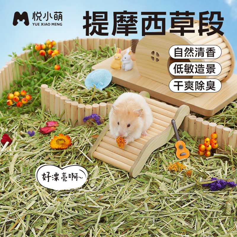 悦小萌仓鼠提摩西草垫料用品大全