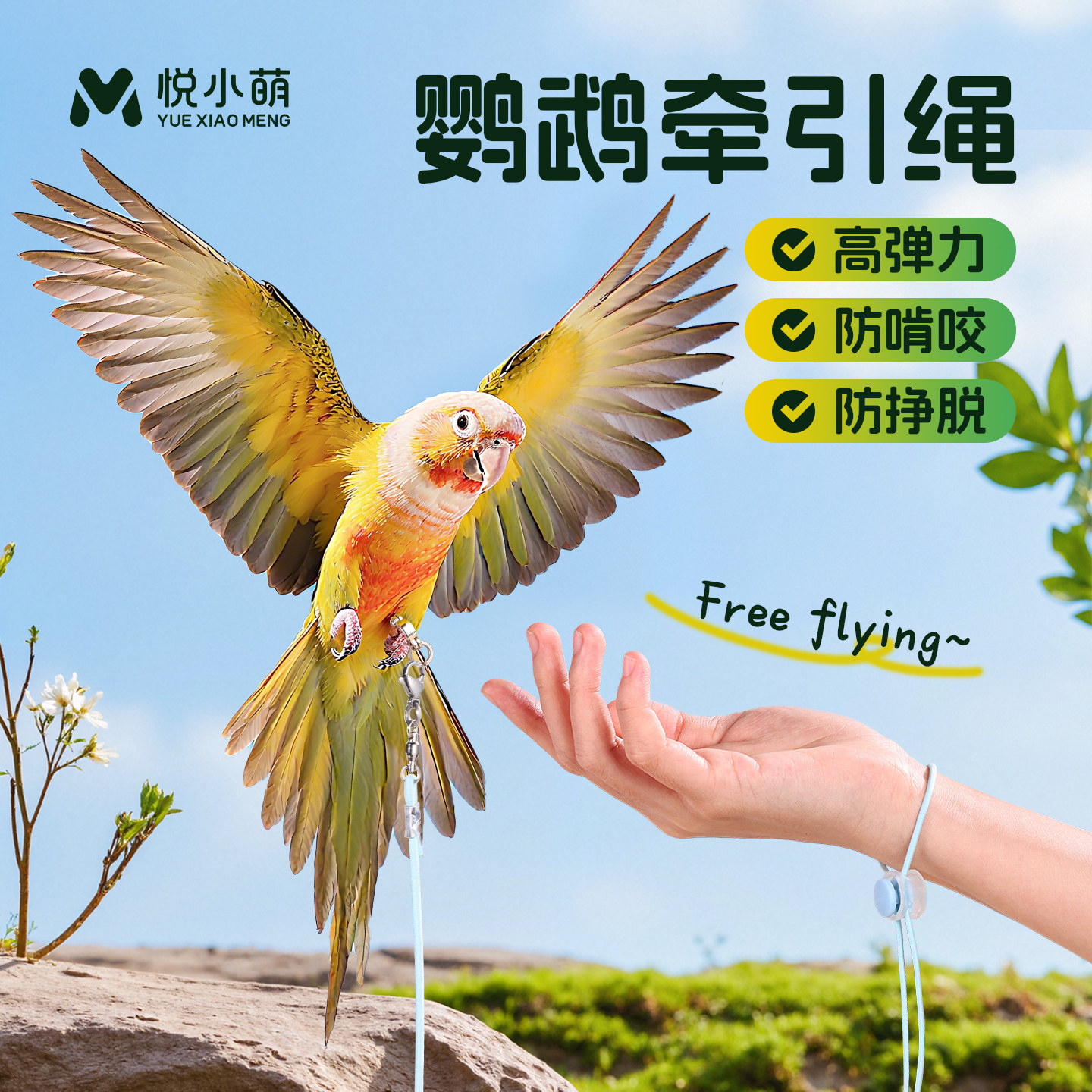 悦小萌鹦鹉放飞绳虎皮玄风牡丹专用外出脚环牵引绳子超轻遛鸟神器