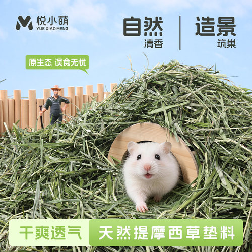 悦小萌仓鼠提摩西草垫料夏天金丝熊专用除臭颗粒笼内生活造景用品