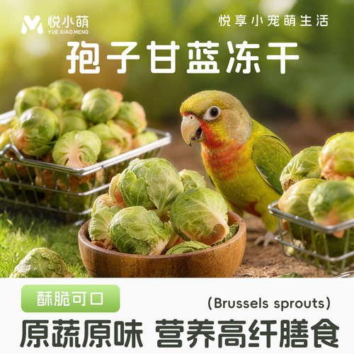 悦小萌鹦鹉零食孢子甘蓝虎皮牡丹玄凤小太阳鸟用训练奖励磨牙食物