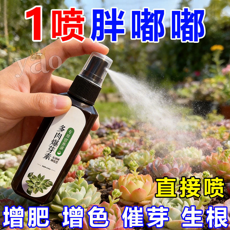 【急救】多肉营养液专用肥肉肉增色生根肉多多肥料家用免稀释盆栽