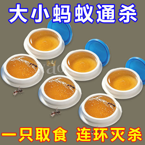 加强版灭蚂蚁药家用强力灭蚁神器