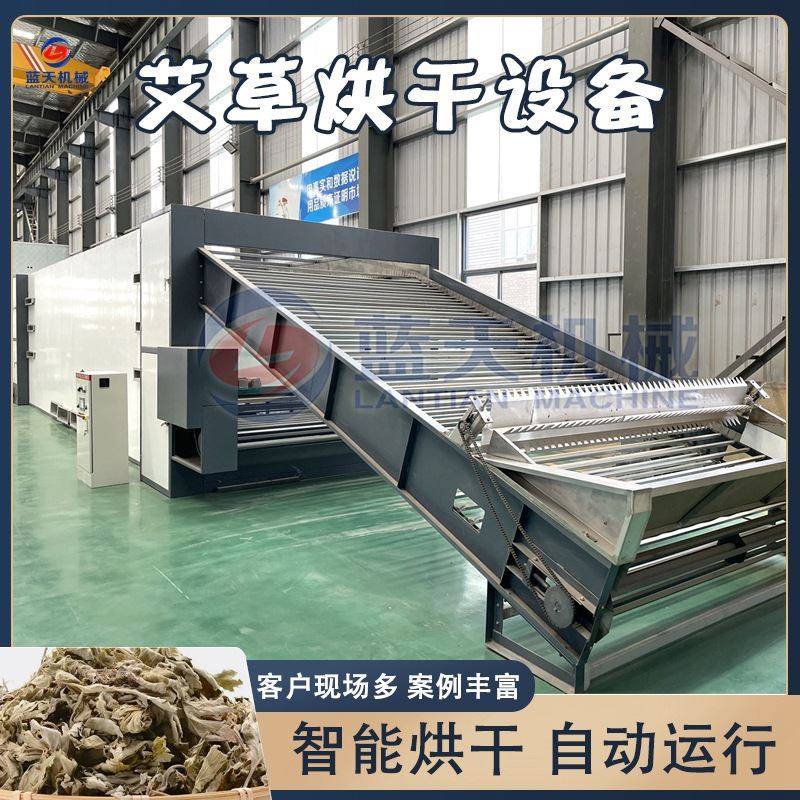 大型艾草烘干机设备 链条履带式整株艾草干燥机 艾全草烘干流水线