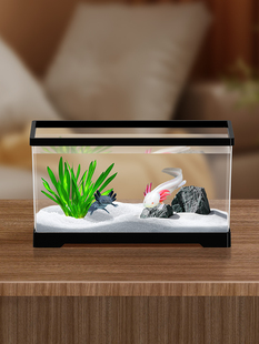 六角恐龙专用缸鱼缸客厅小型生态水草造景桌面家用宠物蝾螈饲养箱