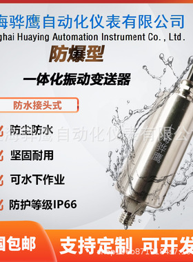 RS6917-07-08-01-02-01一体化振动变送器风机水泵电机传感器
