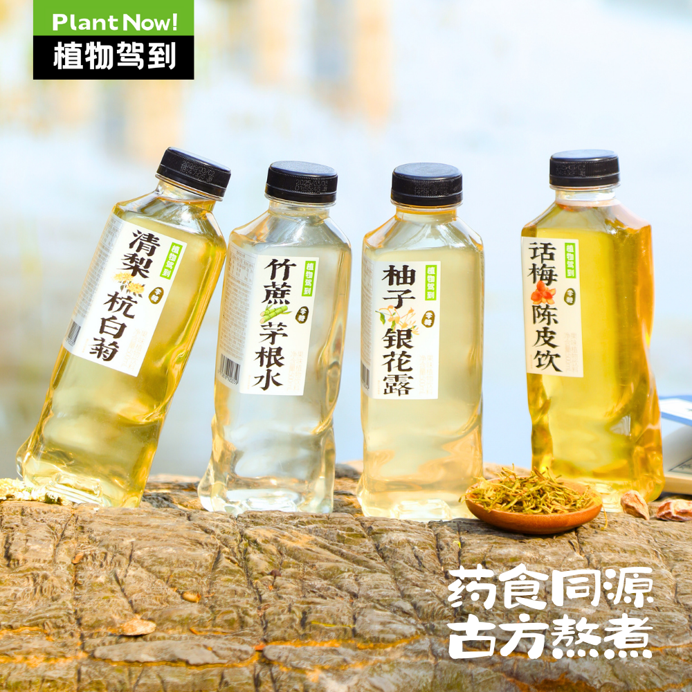 植物驾到0糖0脂0卡植物饮料陈皮话梅清梨杭白菊清爽5瓶古法养生水