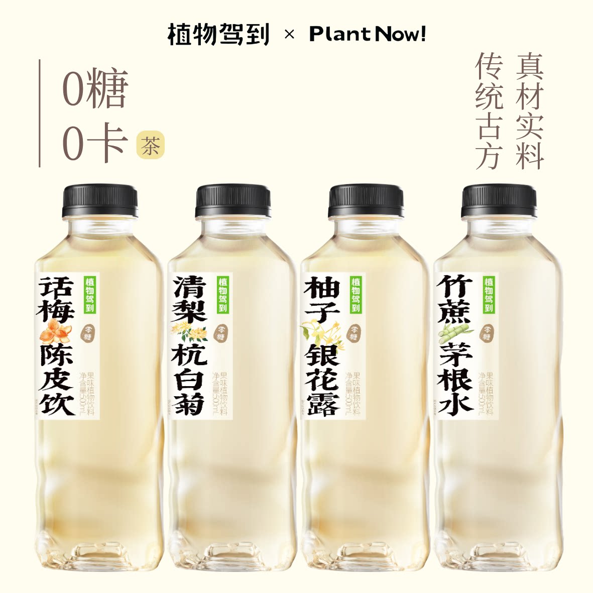 植物驾到0糖0卡竹蔗茅根水陈皮柚子金银花杭菊清梨养生茶植物饮料
