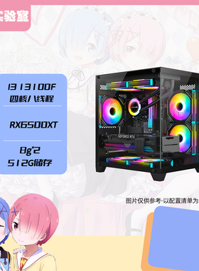 双11【6500XT】13100F/5500/RX6500XT电竞游戏台式电脑主机