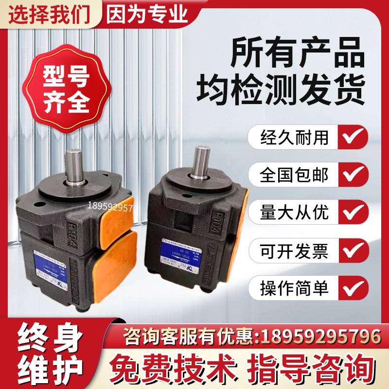 新款YLC/永灵叶片泵PV2R2-41F1 47 53 59 65 70 79 85 RAF油泵 液