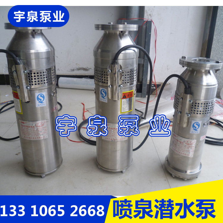 新款江苏徐州市喷泉专用潜水泵QSP65-10-3千瓦304不锈钢降水包邮