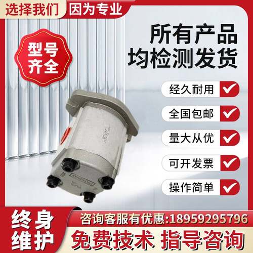 新款HGP-1A-F1R高压齿轮油泵HGP-3A-F11R/23R/25R/17R新鸿HYDROMA