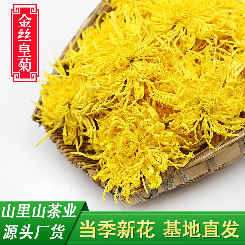 25年新花黄山金丝皇菊散装菊花茶水果茶一杯一朵大黄菊花