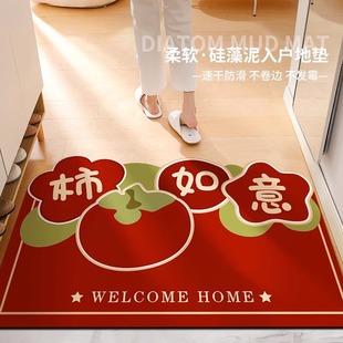 家用门口 入户门地垫硅藻泥耐脏蹭土进门吸水防滑乔迁门垫新款