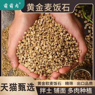 黄金软麦饭石颗粒多肉专用颗粒土泥炭种植土壤养花绿植通用铺面石