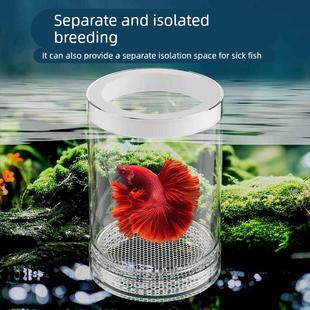孵化盒孔雀鱼鱼缸繁殖隔离盒小型鱼卵鱼苗斑马鱼斗鱼缸内水族用品