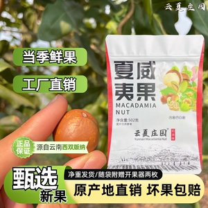云夏庄园新鲜大颗粒夏威夷果厂家直销吃货年货营养茶点特产坚果