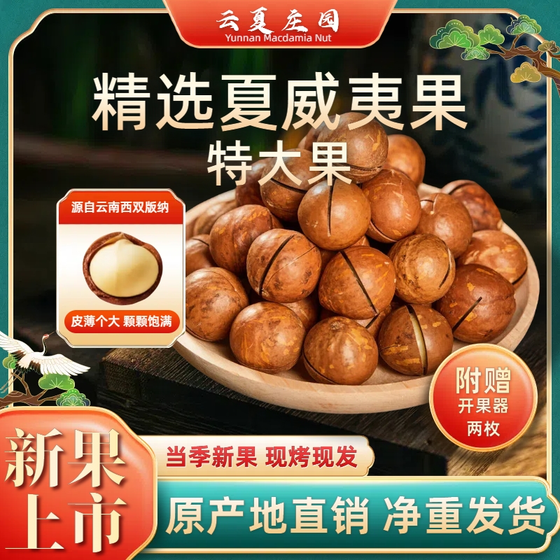 云夏庄园新鲜夏威夷果厂家直销特大果吃货年货营养茶点特产坚果